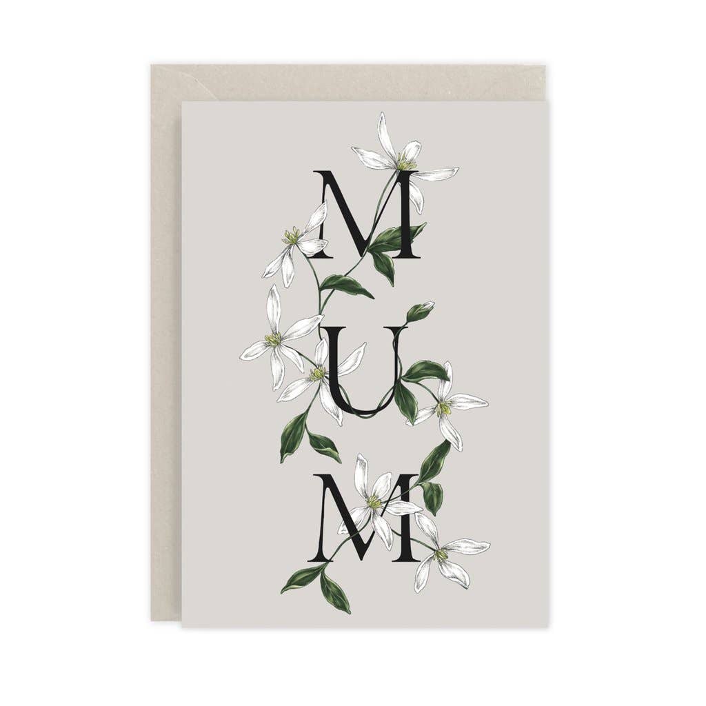 Spring Blossom - MUM
