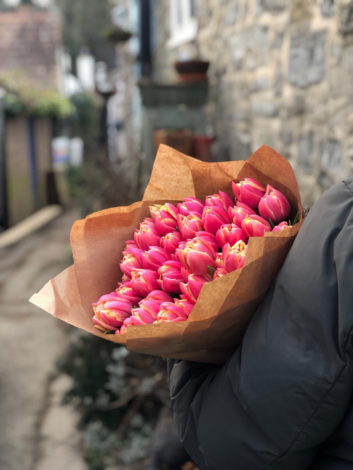 An Armful of Columbus Tulips