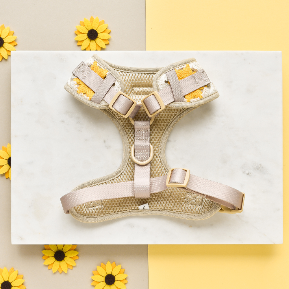 Sunflower Patch Adjustable Neck Harness