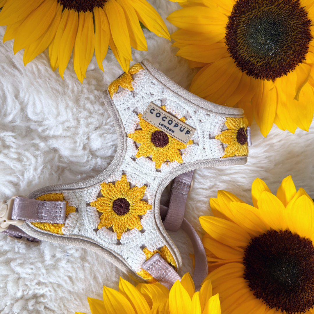 Sunflower Patch Adjustable Neck Harness