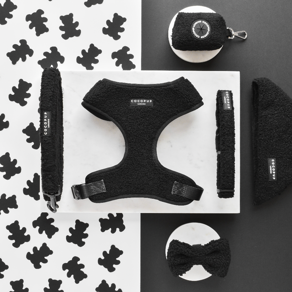 Teddy Dog Lead - Black