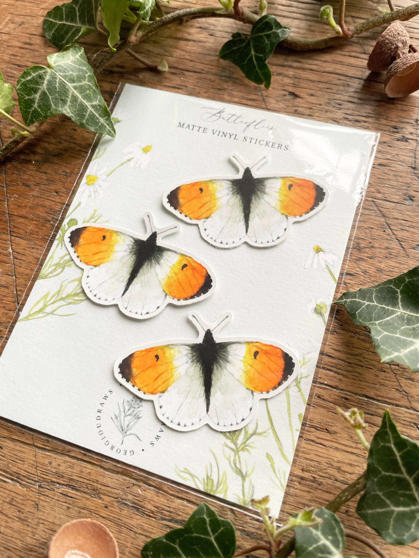 Orange Tip Butterfly Matt Vinyl Nature Stickers
