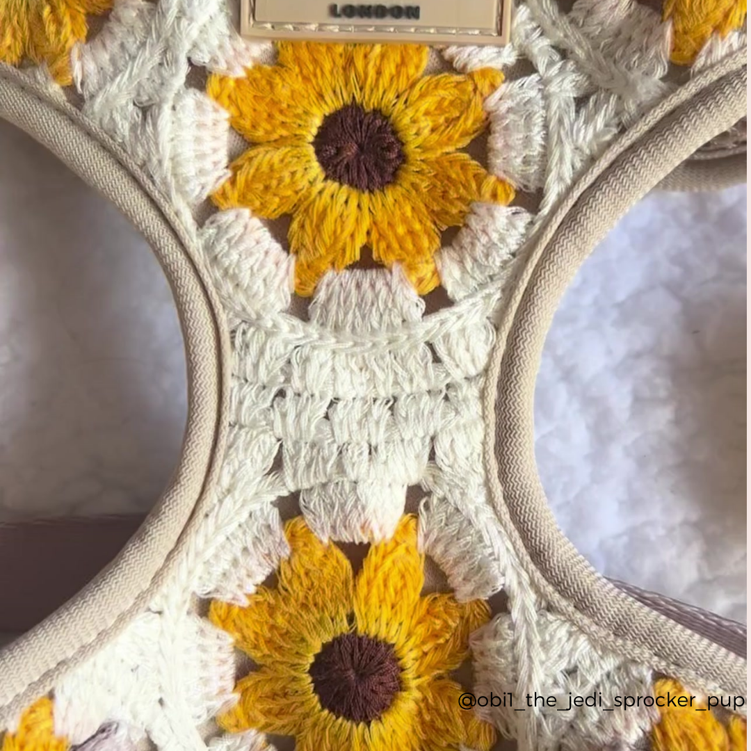 Sunflower Patch Adjustable Neck Harness