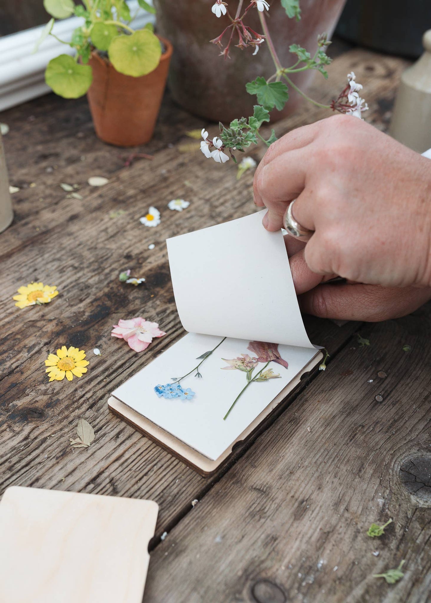 Pocket Flower Press - Vintage Buttercup