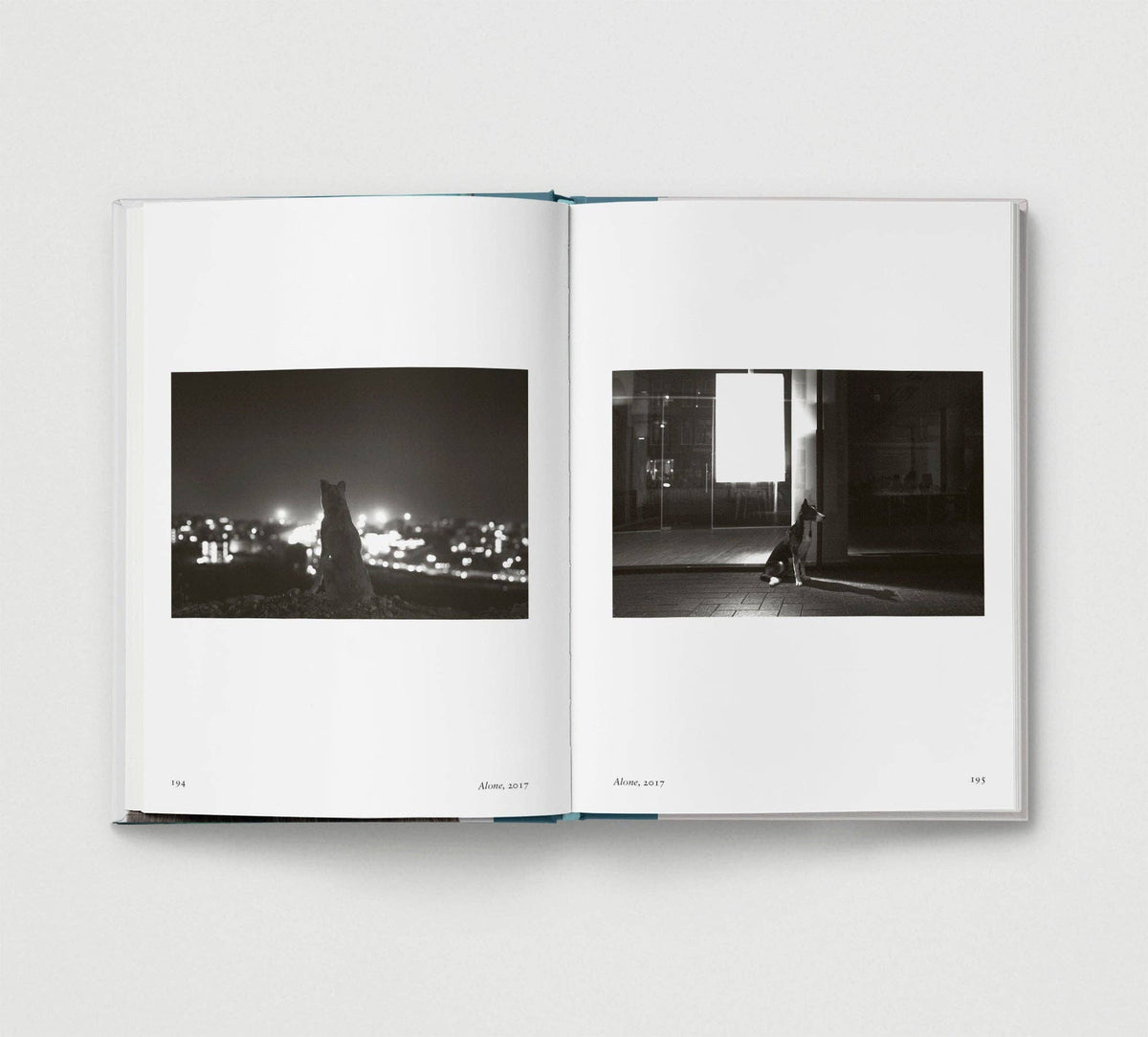 Dog. New Photography of the Dog Book by Jilke Golbach