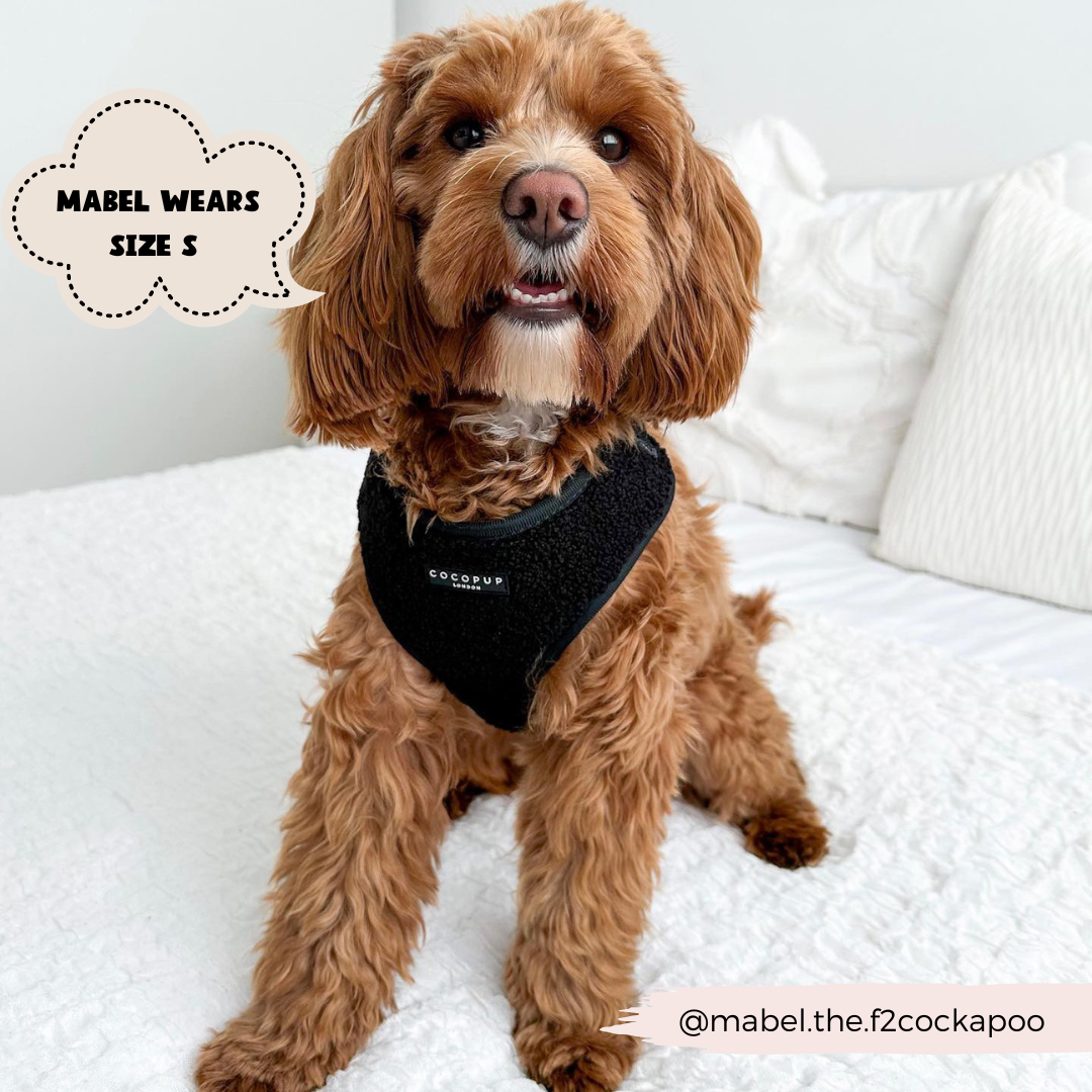 Teddy Adjustable Neck Harness in Black