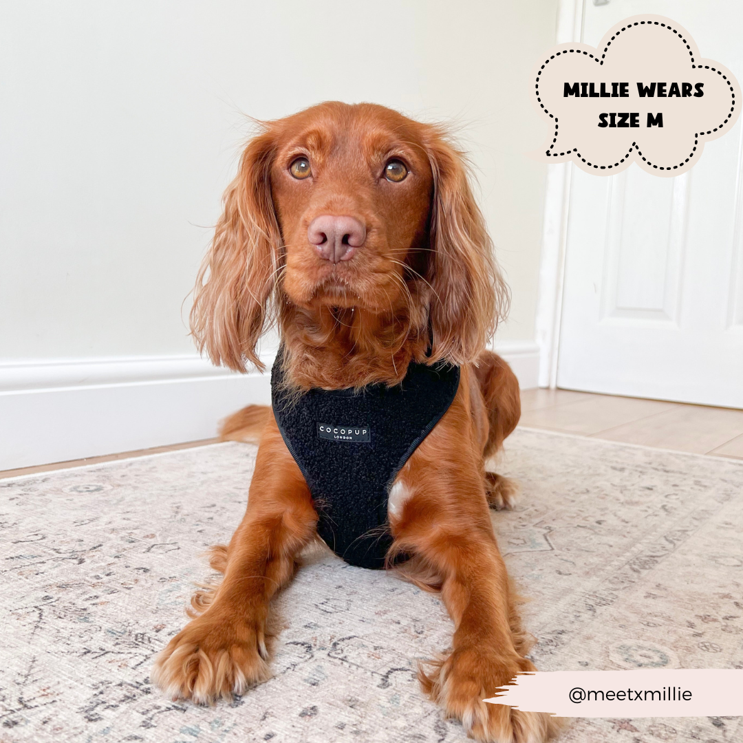 Teddy Adjustable Neck Harness in Black