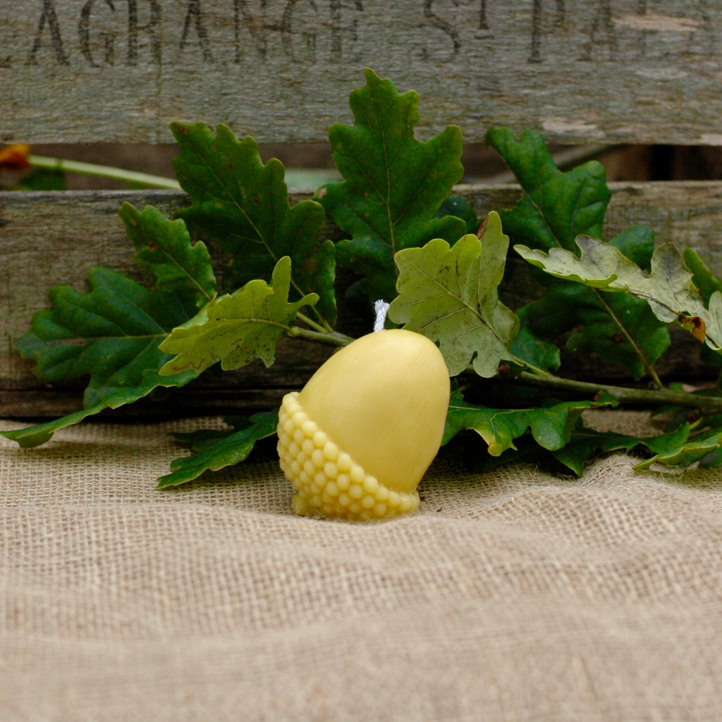 Beeswax Acorn Shaped Candle
