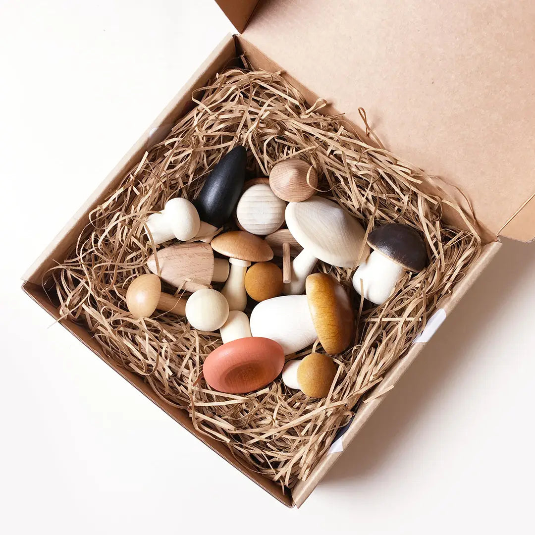 Forrest Mushrooms in a box