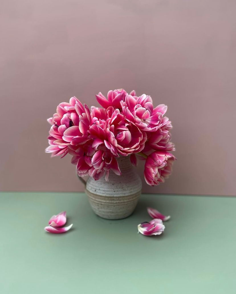 An Armful of Columbus Tulips