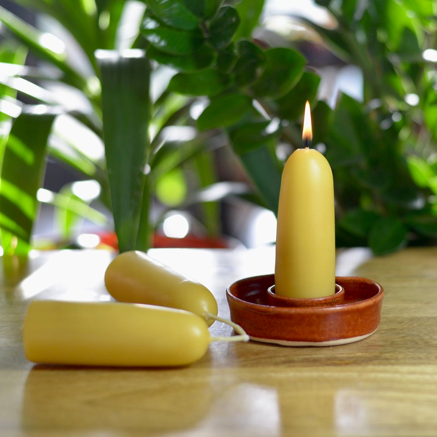 Beeswax Pine Tree Christmas Candles