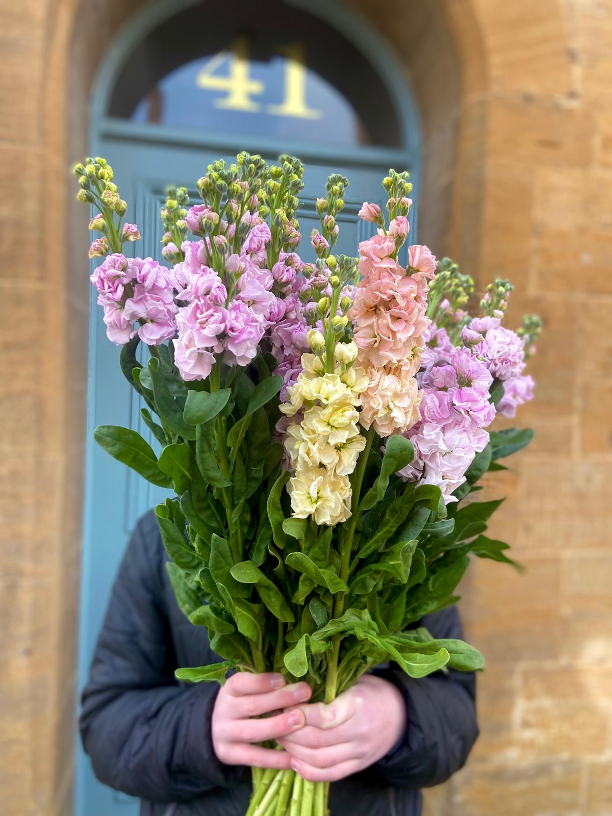 An Armful of Scented Stocks