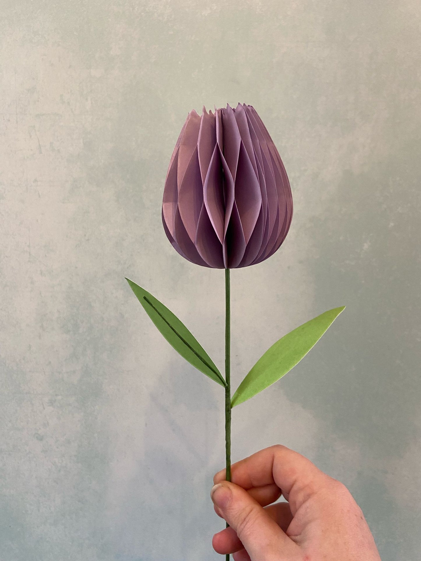 Honeycomb Paper Tulip Spring Flower Decorations
