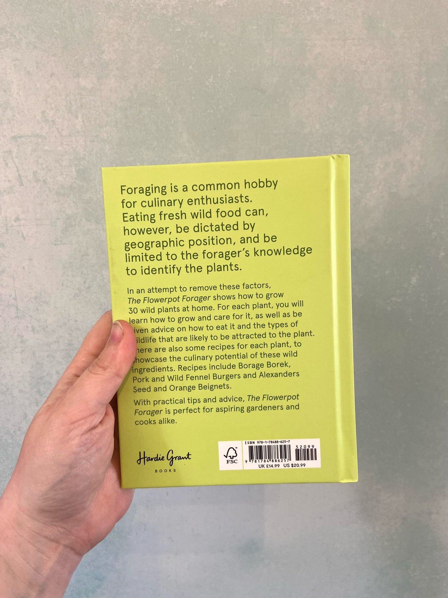 The Flower Pot Forager: An Easy Guide to Growing Wild Food at Home