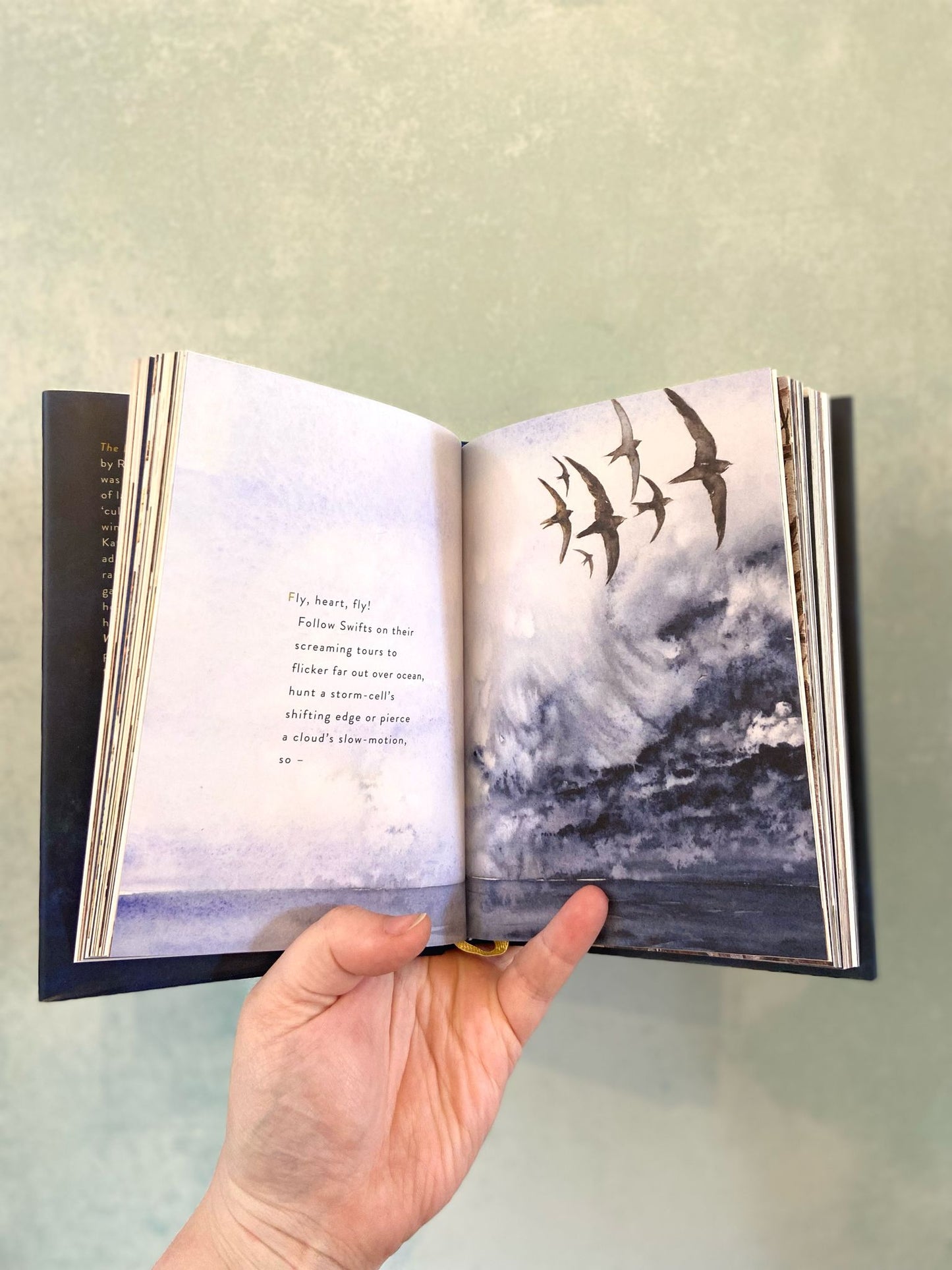 The Lost Spells by Robert Macfarlane & Jackie Morris