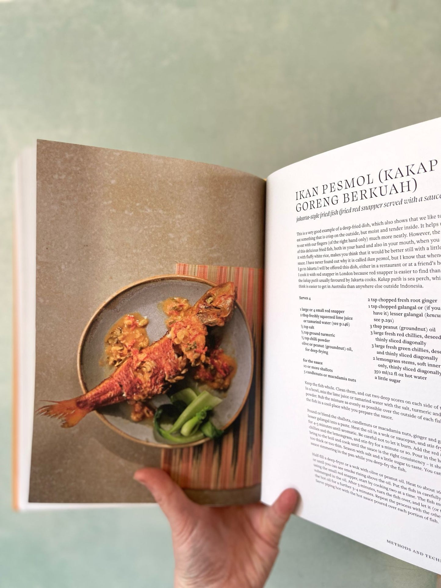 Indonesian Food by Sri Owen