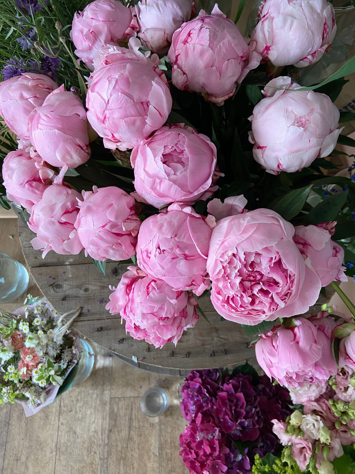 An Armful of Sarah Bernhardt Peonies