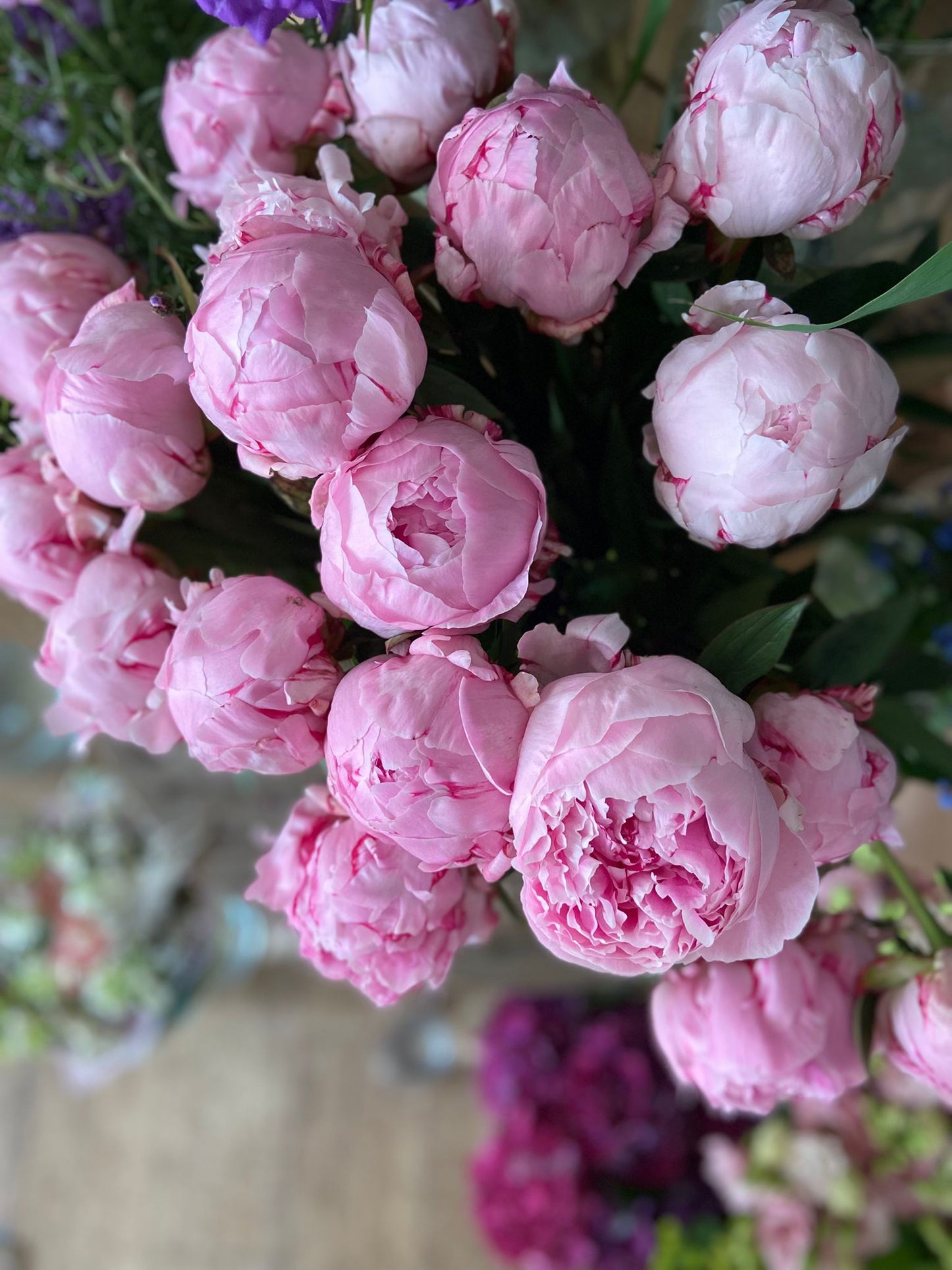 An Armful of Sarah Bernhardt Peonies