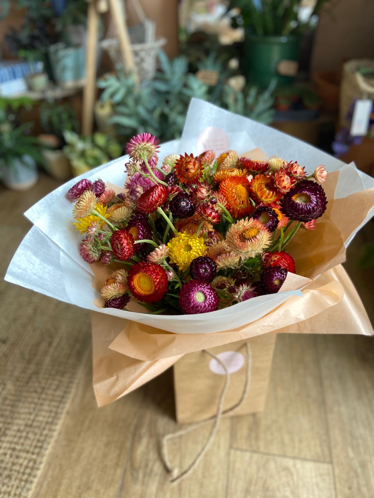 An Armful of Straw Flowers