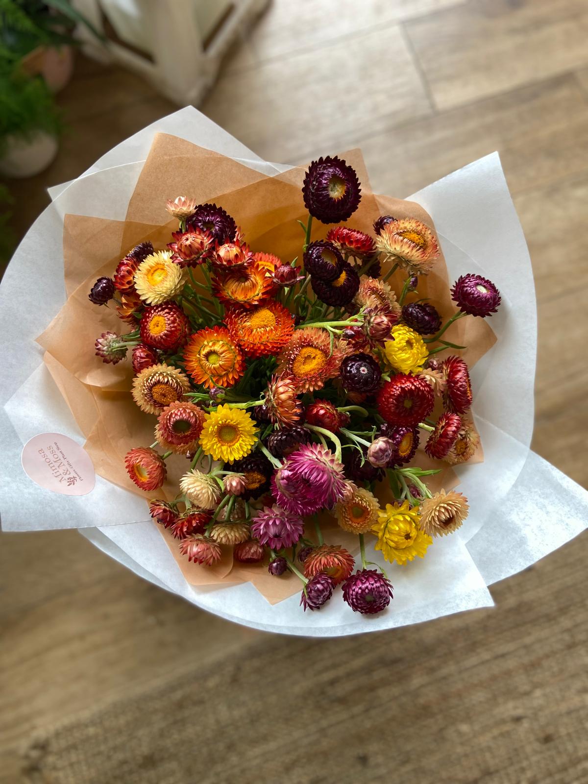 An Armful of Straw Flowers