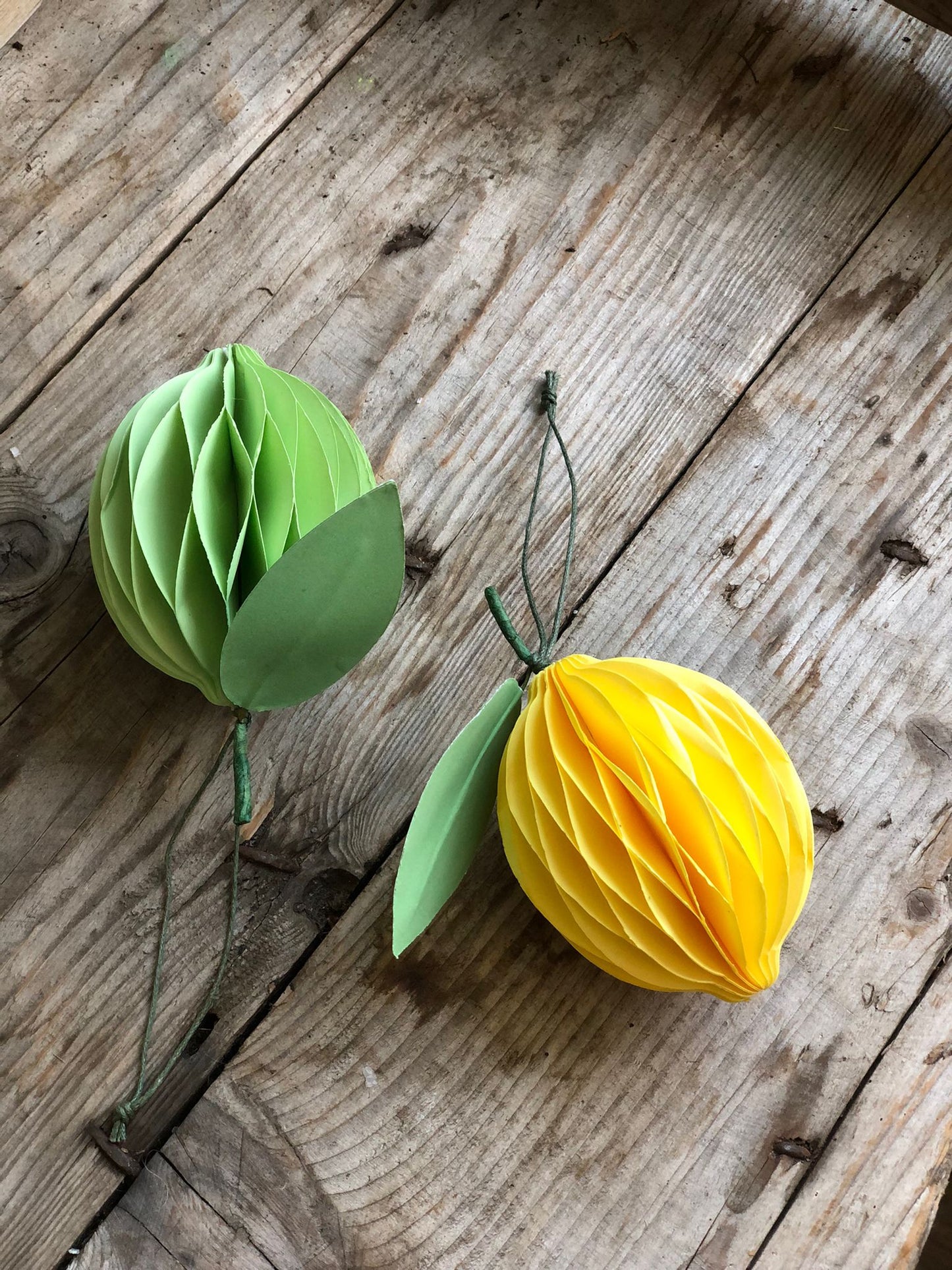 Honeycomb Lemon & Lime Decorations