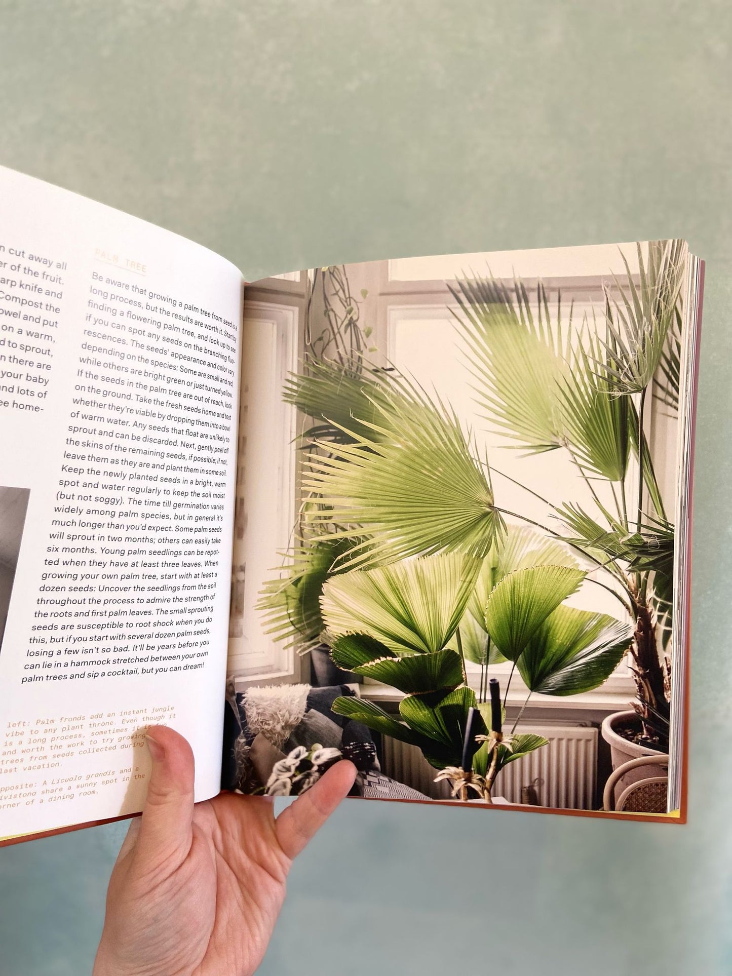 Plant Tribe: Living Happily Ever After with Plants