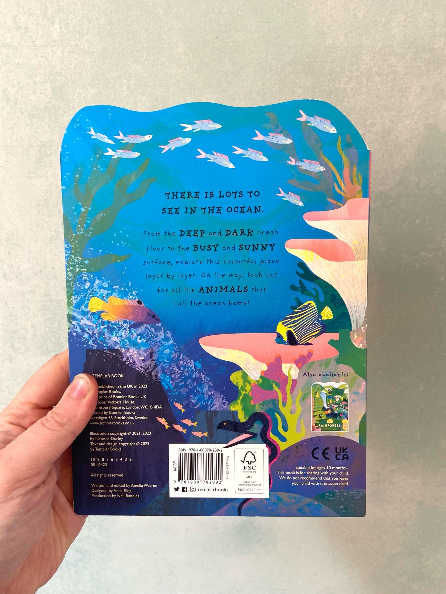 Animal Homes - Ocean Board Book by Natasha Durley