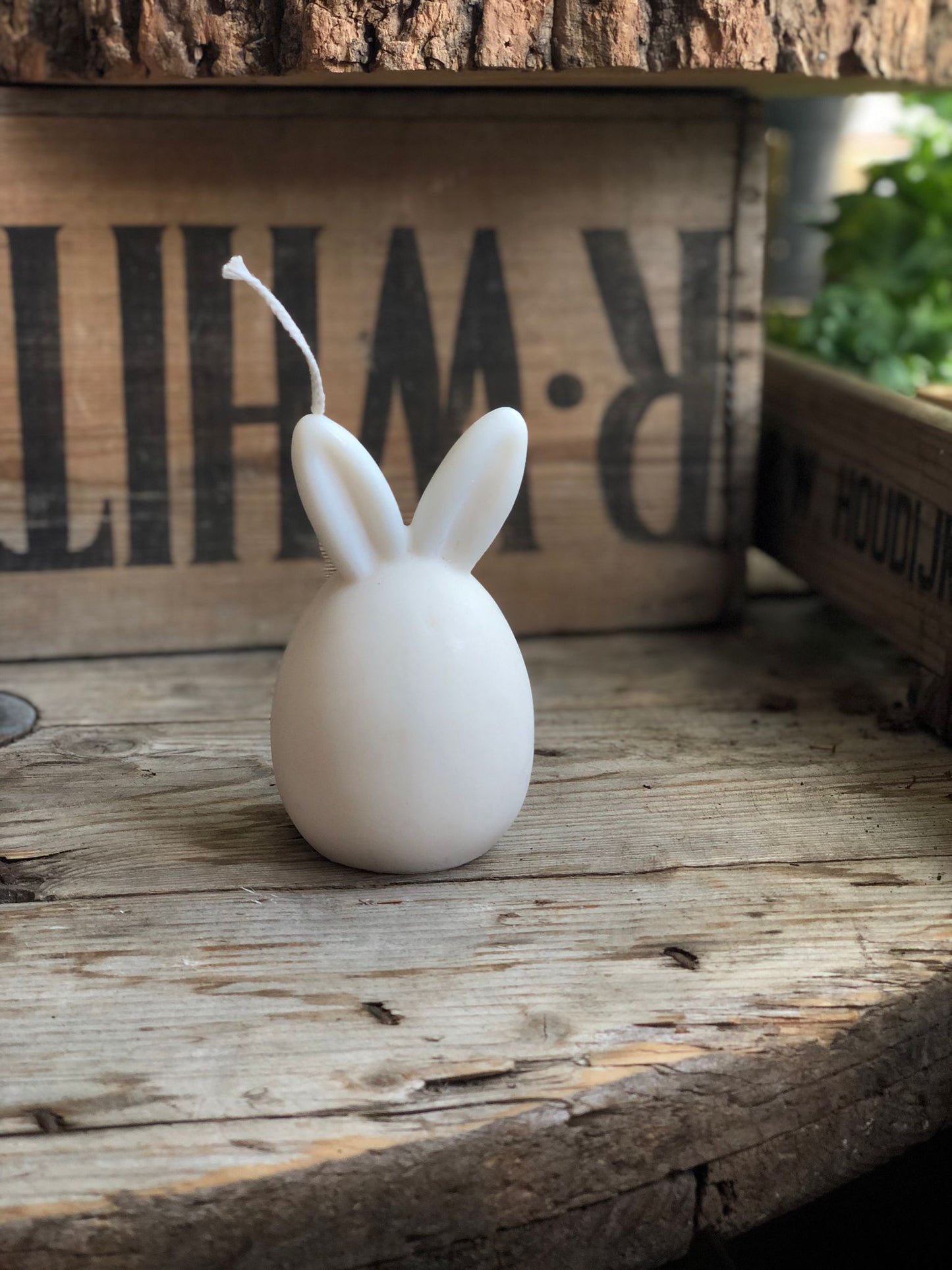 Handmade Soy Wax Bunny Ears Candle