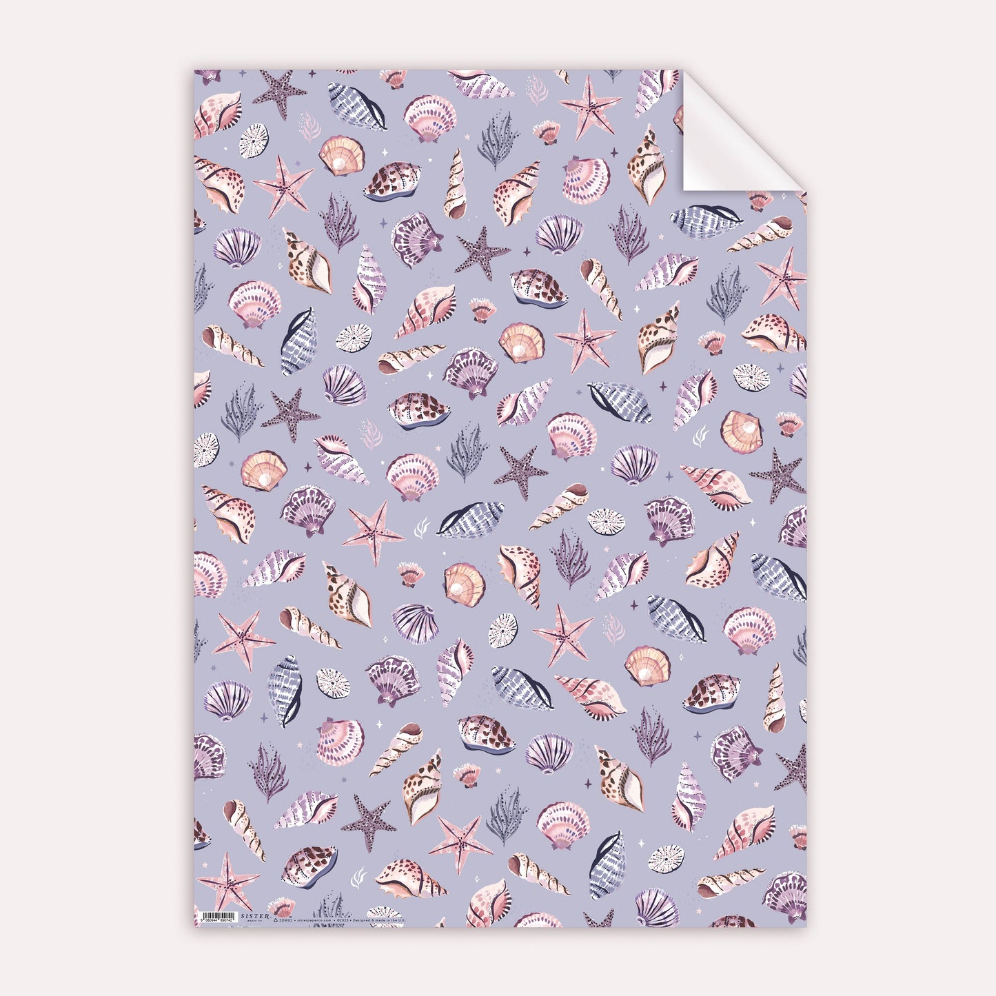 Sea Shells Gift Wrap Wrapping Paper Sheets
