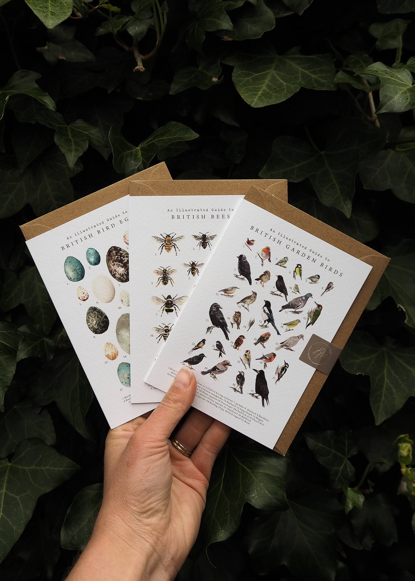 British Garden Birds Card