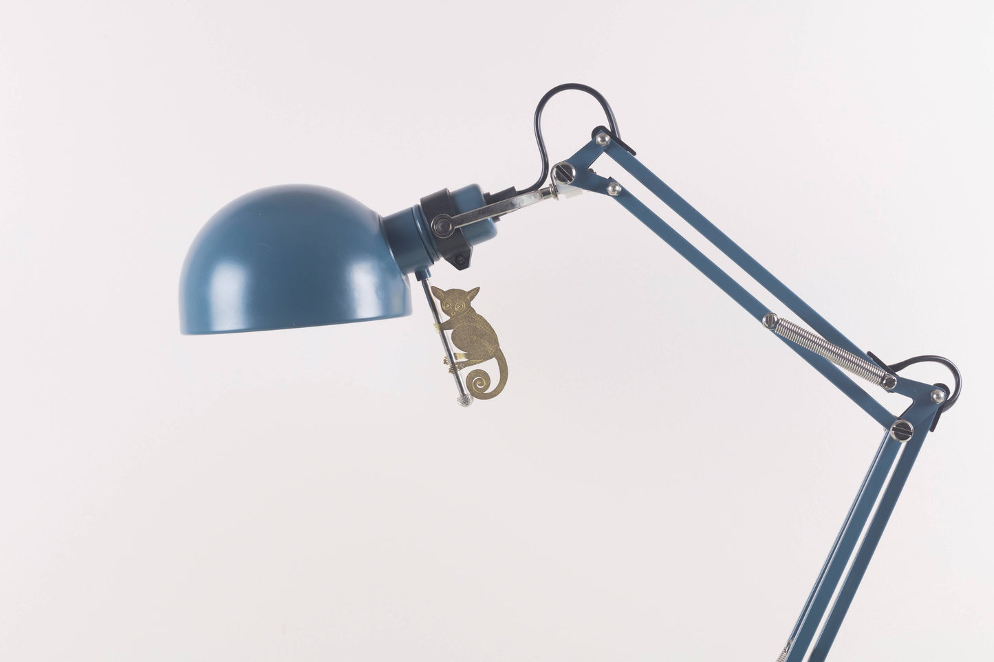 House Plant Animal - Bush Baby