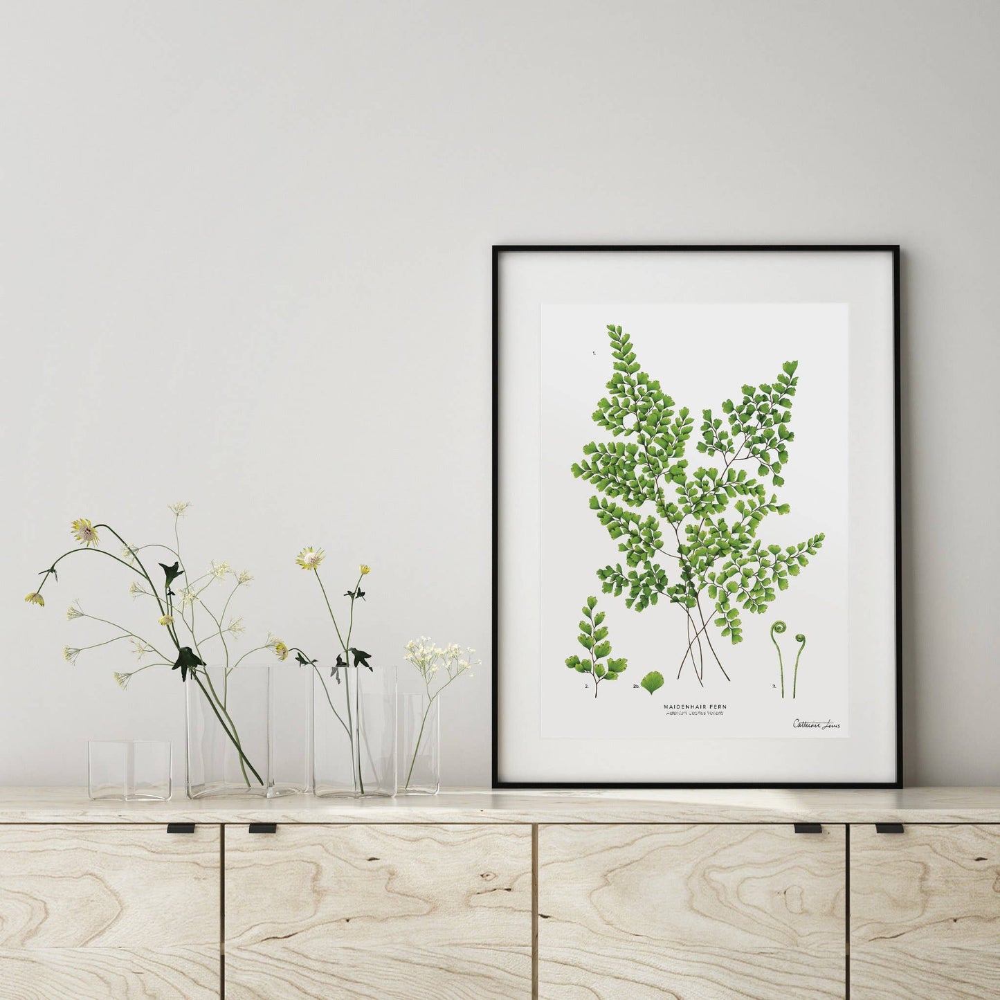 Maidenhair Fern- Art Print