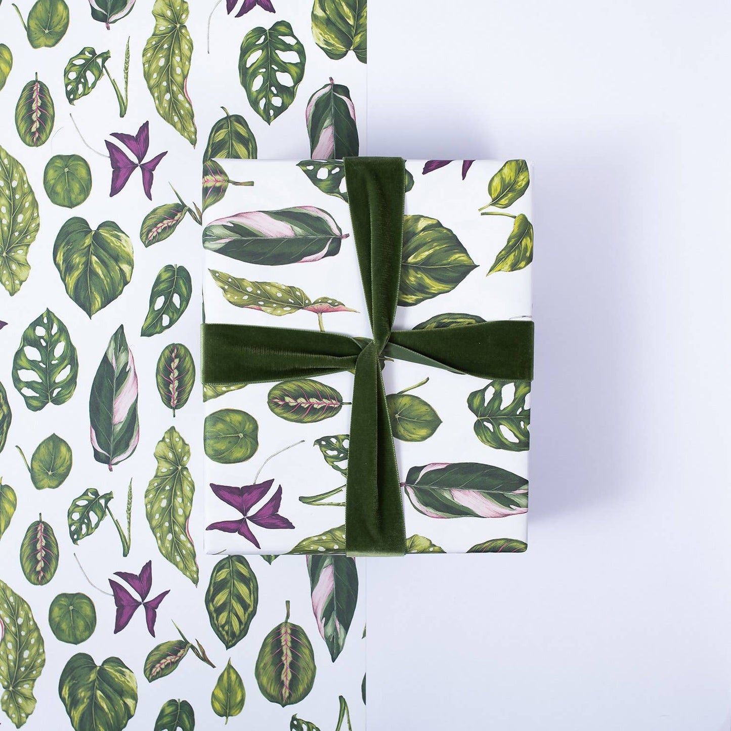 Houseplants Botanical Gift Wrap