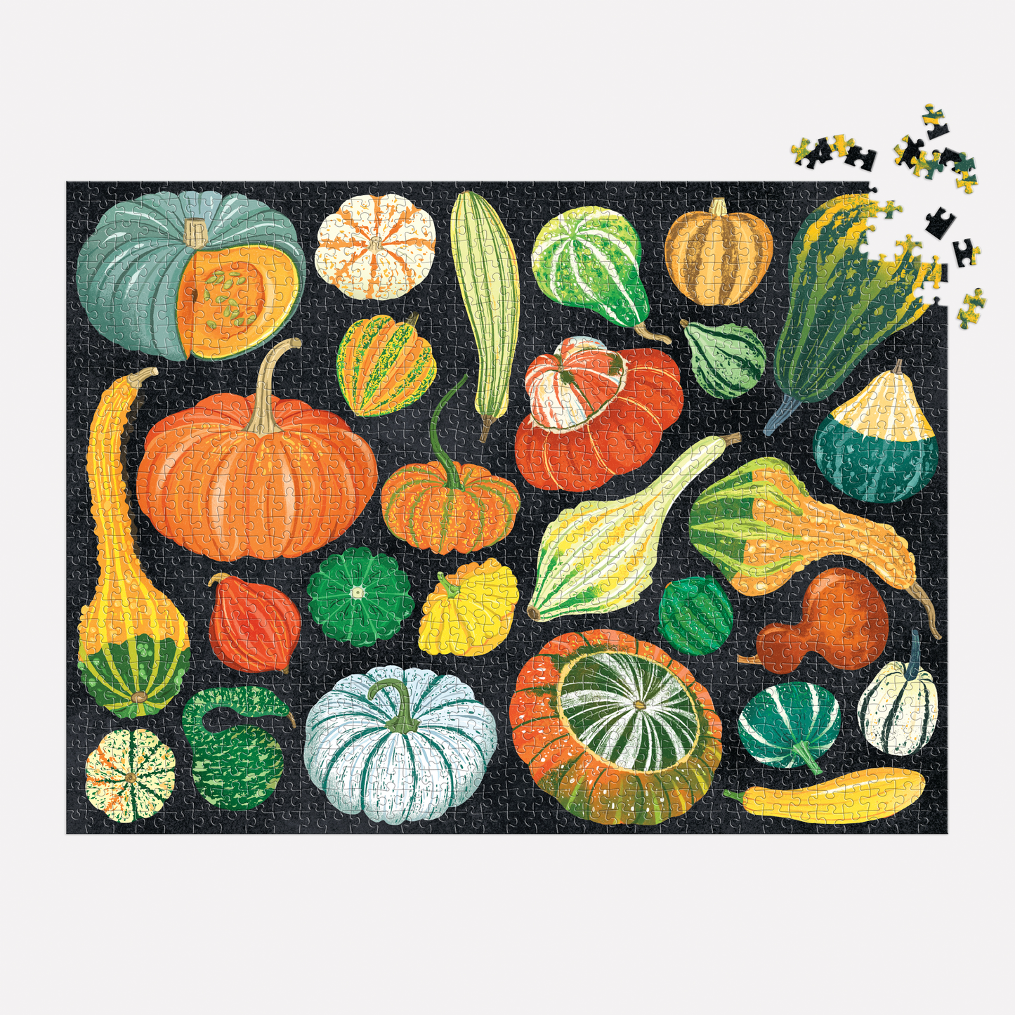 World of Pumpkins 1000 Piece Puzzle Jigsaw