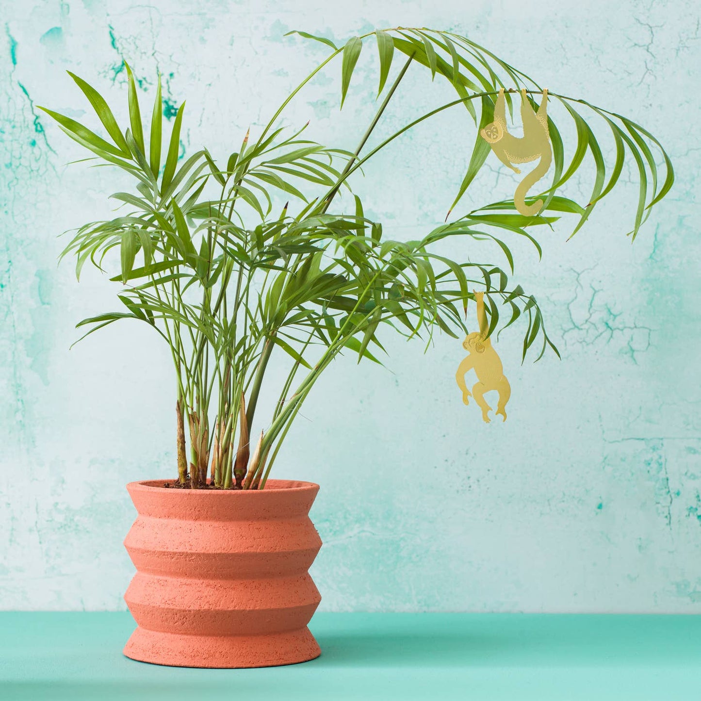 House Plant Animal - Lemur