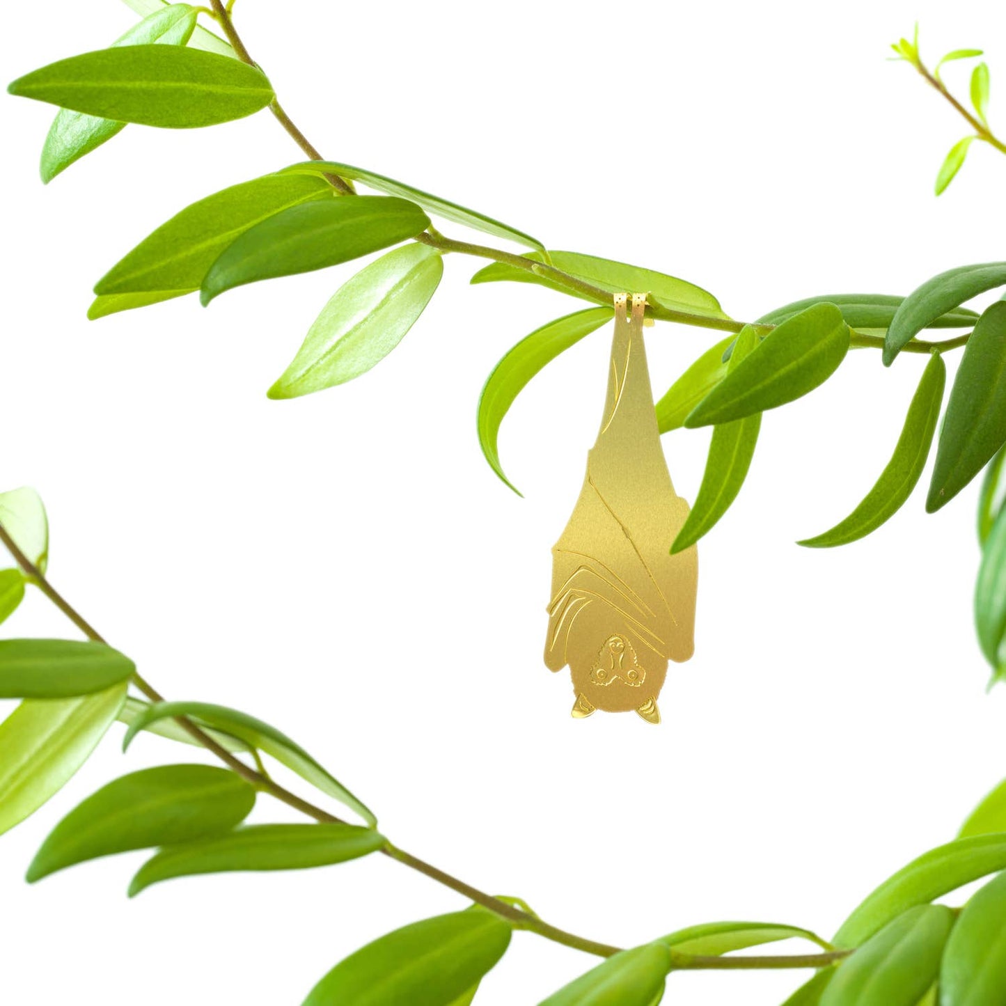 House Plant Animal - Fruit Bat