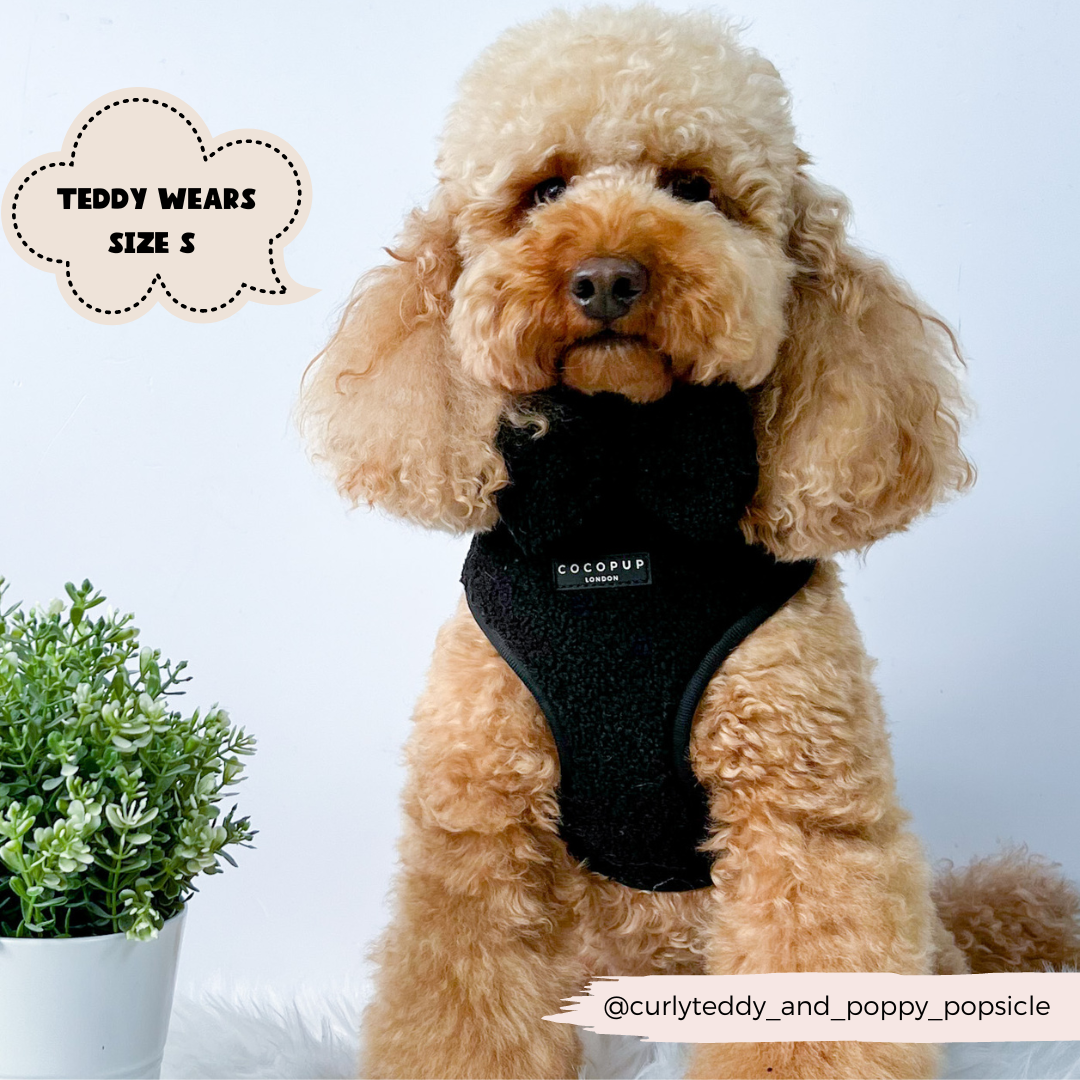 Teddy Adjustable Neck Harness in Black