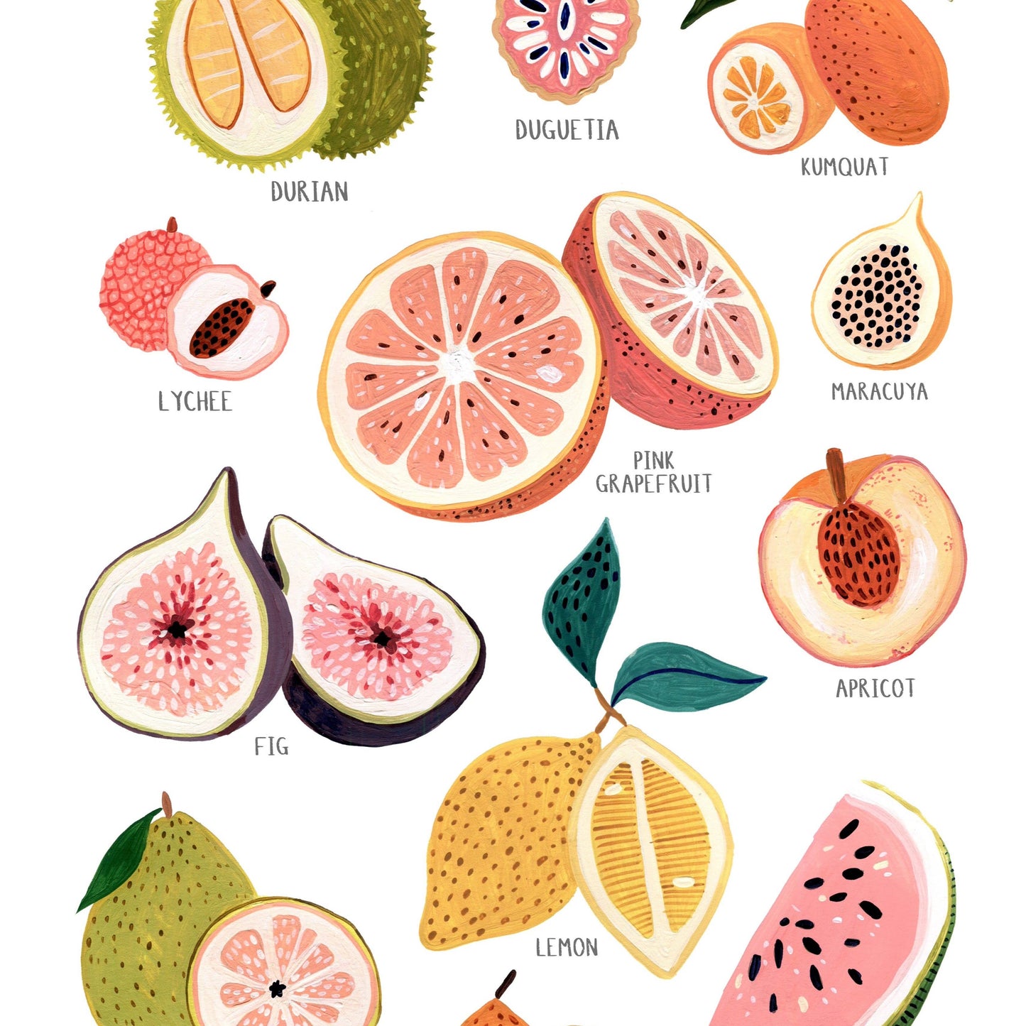 Summer Fruit Collection Art Print
