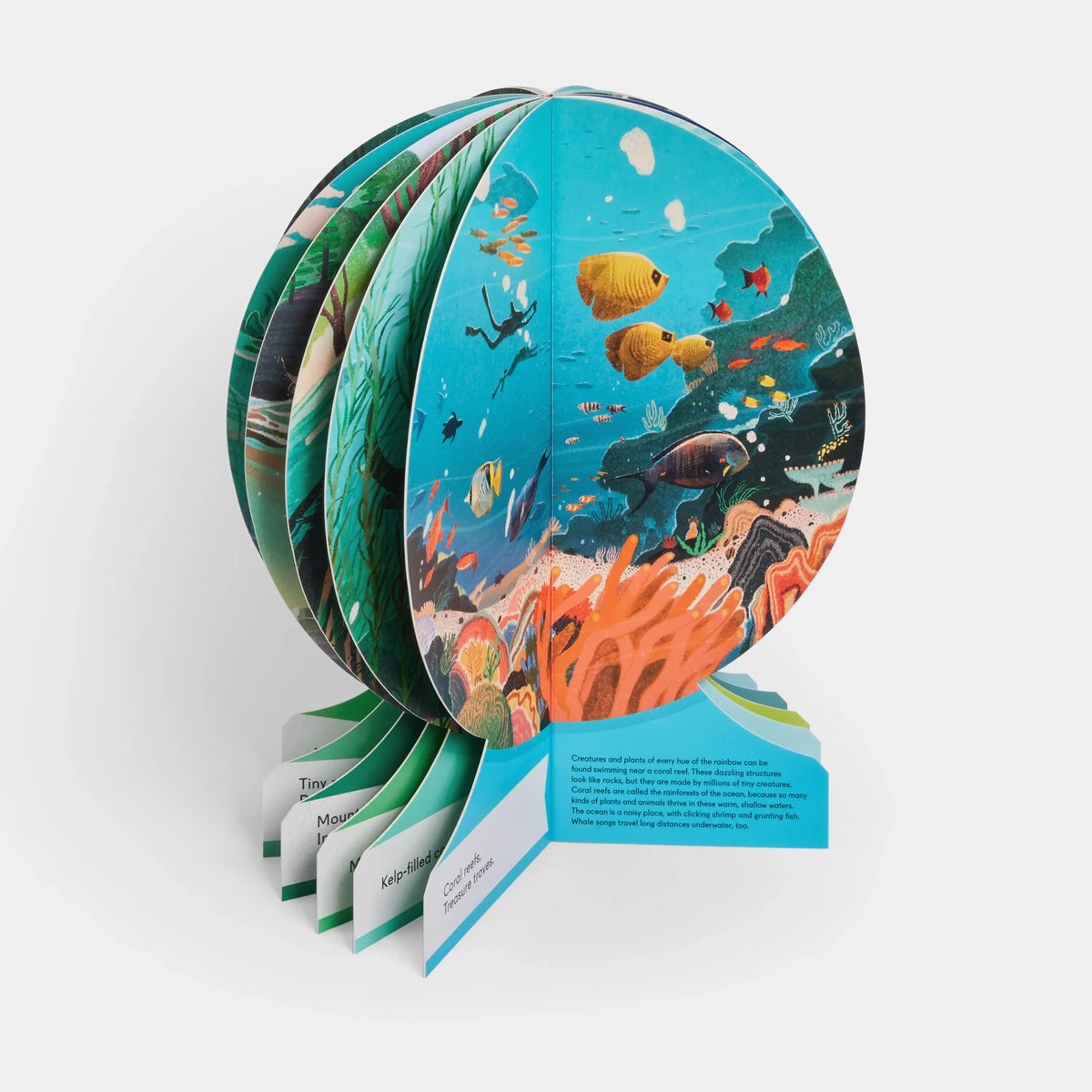 Our Underwater World Childrens Book Freestanding Globe