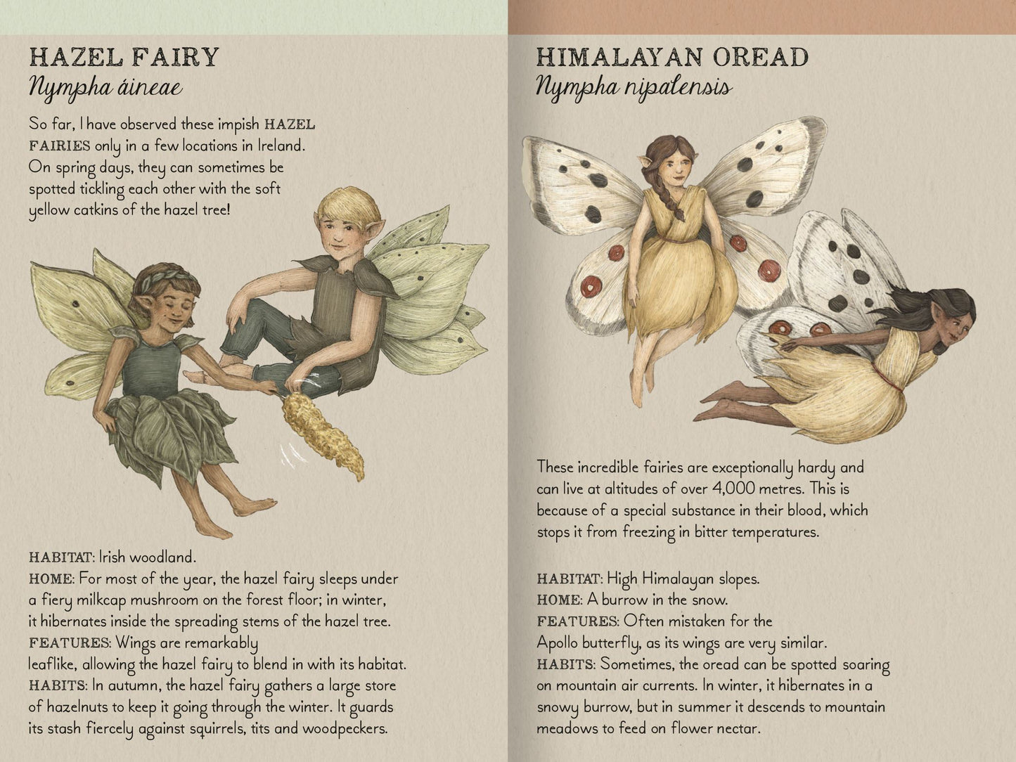 Find the Fairies Memory Game