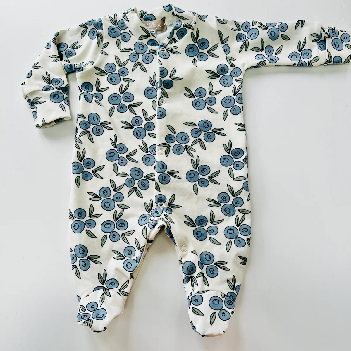 Blueberry Organic Cotton Baby Sleep Suit Onesie