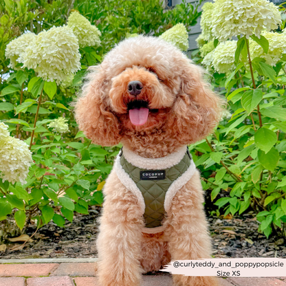 Khaki Quilted Adjustable Neck Dog Harness - Cocopup