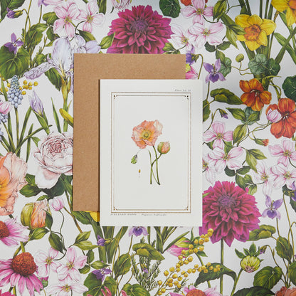 Icelandic Poppy Blank Greetings Card