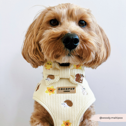 Embroidered Spring Animals Woodland Walkies Adjustable Neck Dog Harness - Cocopup