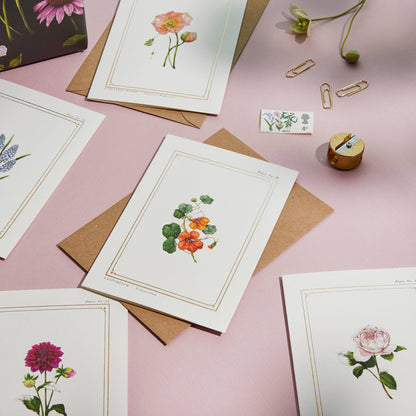 Nasturtium - Blank Greetings Card