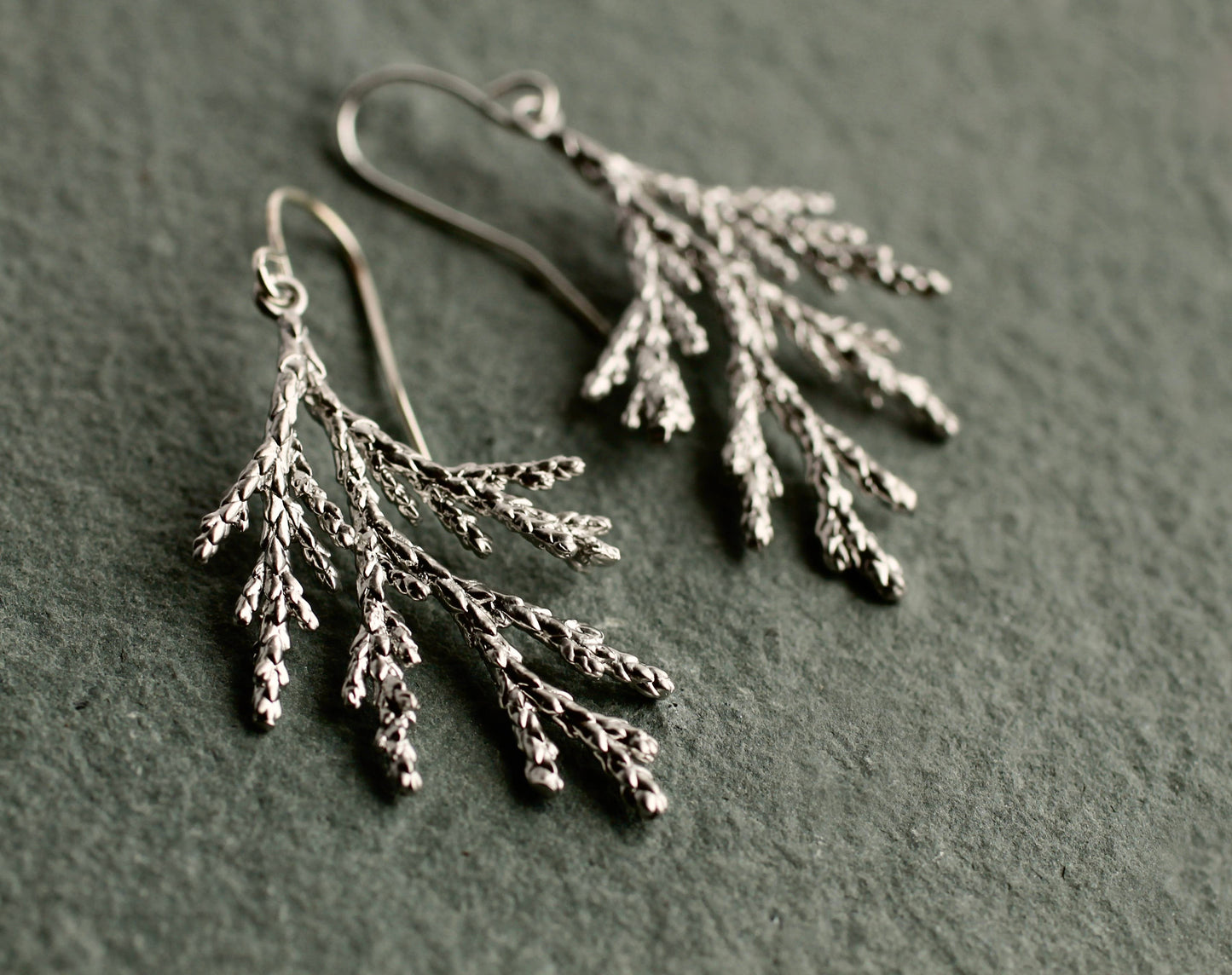 Conifer Tree Silver Earrings
