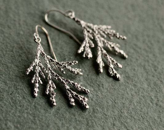 Conifer Tree Silver Earrings