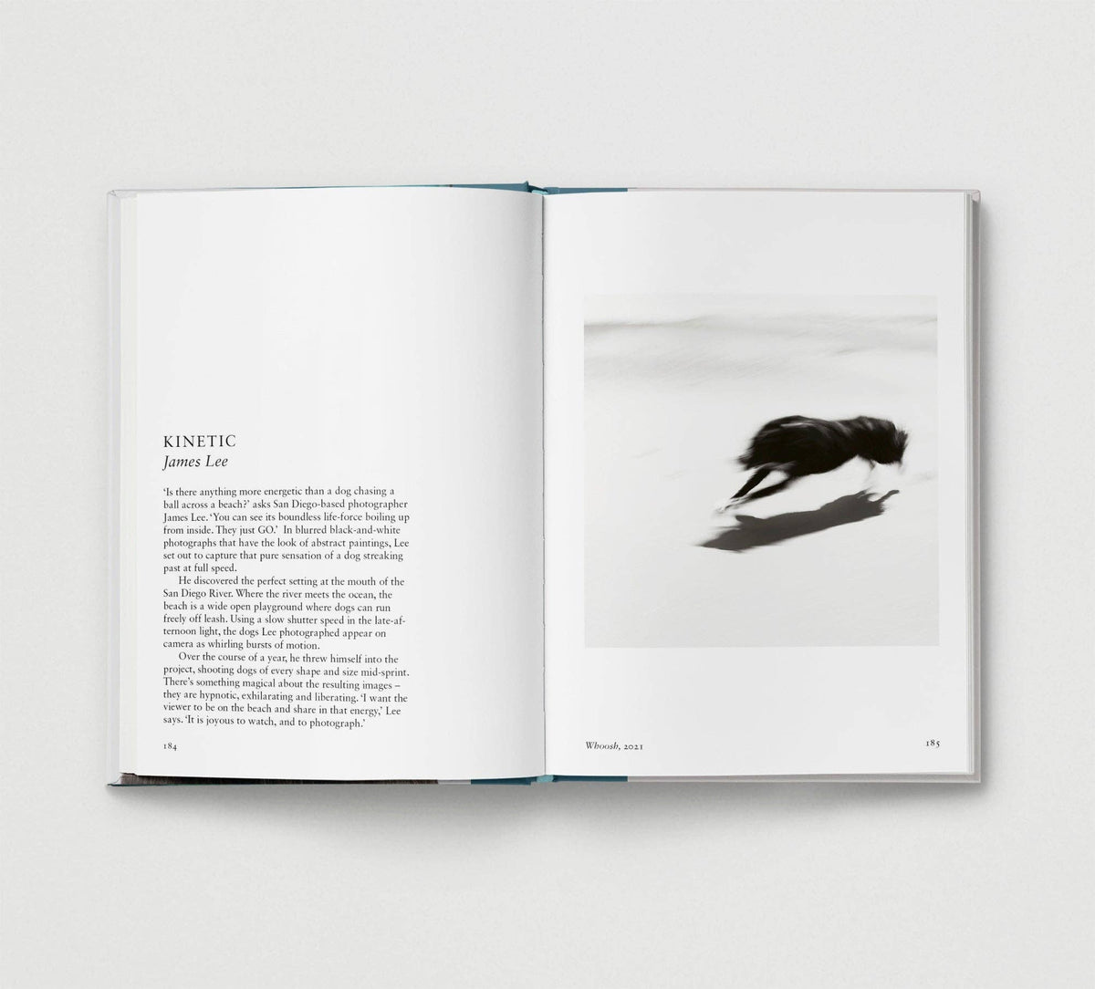 Dog. New Photography of the Dog Book by Jilke Golbach