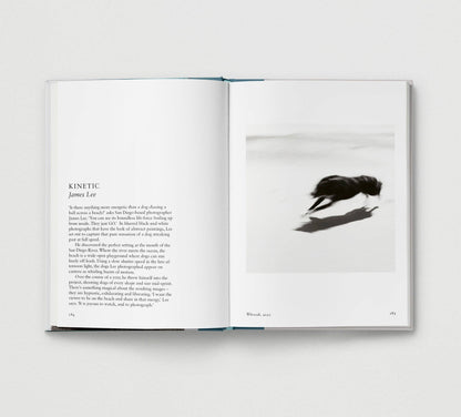 Dog. New Photography of the Dog Book by Jilke Golbach