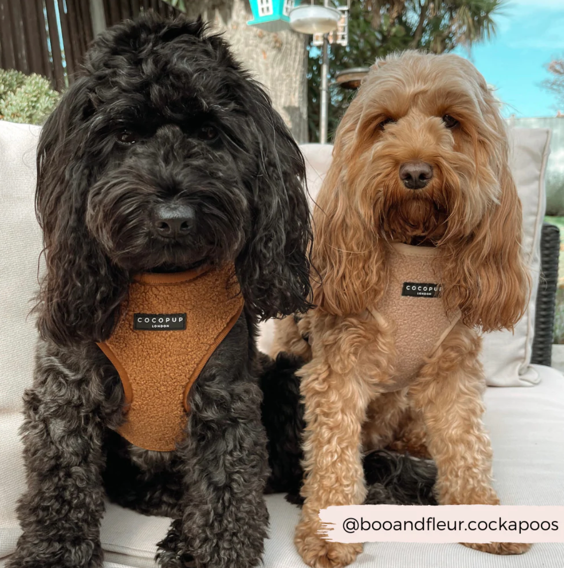 Teddy Adjustable Neck Harness - Caramel